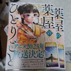 薬屋のひとりごと(11) 1冊のサムネイル