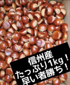 【在庫わずか‼️】信州産 栗 約2キロ 無農薬 - 3