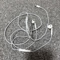 Apple EarPods with Lightning Connector