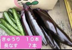 朝採れ長なす7本 きゅうり10本 60サイズ - メルカリ