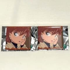 名探偵コナンランド TDメモリアル缶バッジ vol.5 灰原哀 2個セット