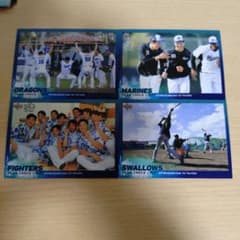 2020 1st Version 東京ヤクルトスワローズ チームチェックリストのサムネイル