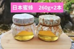 日本蜜蜂　はちみつ　プレゼント　　260g　2本 ニホンミツバチ　おしゃれのサムネイル