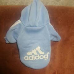 犬の服のサムネイル