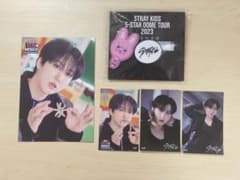 Stray Kids チャンビンセットのサムネイル
