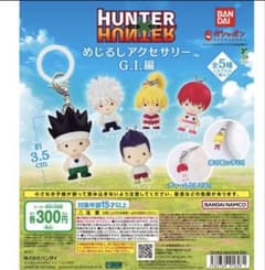 HUNTER × HUNTER 메지루시 액세서리 GI편