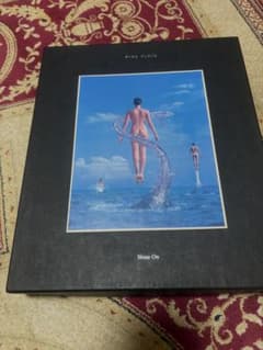 Pink Floyd box set shine on