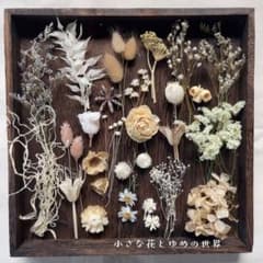 ✤花材セット13✤ 白×ベージュ系たっぷり25種以上プリザーブド＆ドライおまけ付のサムネイル