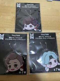 tinytan 잠자는 아크릴 키체인 3점 세트