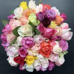 薔薇アレンジMIX【生花・切り花】20cm 50本《画像参照》14時まで当日