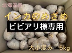 ビビアリ様専用】北海道産インカのめざめ 大小混み5kg - メルカリ