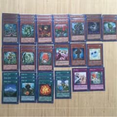 森羅 デッキのサムネイル