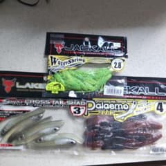 m99736663873_1.jpg?1700545984