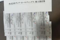 ヴィア・ホールディングス 株主割引券 8000円分（500円券×16枚）のサムネイル