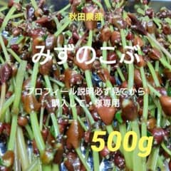 プロフィール説明必ず見てから購入して様専用 みずのこぶ みずの実