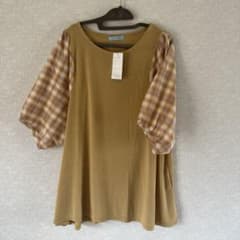未使用品　レディーストップのサムネイル