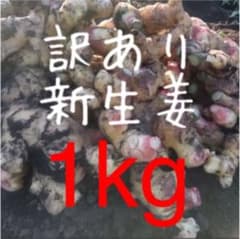 茨城県産　新生姜1kgのサムネイル