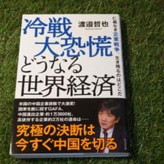 冷戦大恐慌 どうなる世界経済のサムネイル