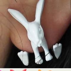 リアル ラビットピアス 3Dピアス 両耳セットのサムネイル
