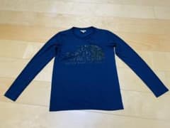THE NORTH FACE ロゴTシャツ　s ネイビーのサムネイル