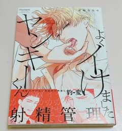 よくイけましたヤンキーくんのサムネイル
