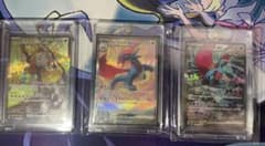 ポケモンカード sarまとめ売りトドロクツキ　ガチグマ　ボーマンダのサムネイル