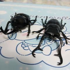 カブトムシ クワガタ　カプセルトイのサムネイル
