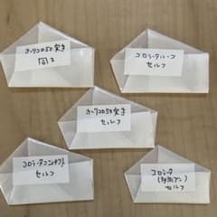 エケベリア 種子 5種セット⑦ 20粒〜30粒　ホリコロ50実生セルフなどのサムネイル
