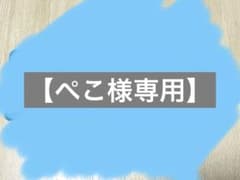 【ぺこ様専用】のサムネイル