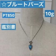 大粒 ブルートパーズ ペンダント PT850 鑑別書付き ユニセックス 