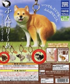 ふんばり〜ぬ チワワ トイプードル 2点セットのサムネイル