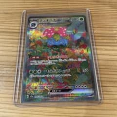 フシギバナ　SARのサムネイル