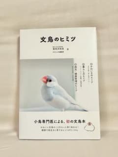 文鳥のヒミツ 海老沢和荘のサムネイル