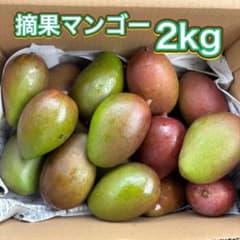沖縄県産 摘果マンゴー箱なし2kg｜100〜300g 青マンゴー - メルカリ