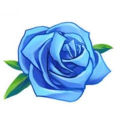 みーーか様専用のサムネイル