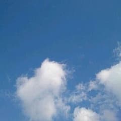 たぬきち様専用　ロンティーのサムネイル