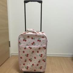 キャリーバッグのサムネイル