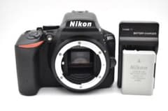ほぼ新品》ニコン Nikon D5500 ボディ S数2600回 - メルカリ