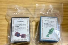해리 포터 메지루시 액세서리 멜라멜라 안경, 먹을 수 있는 어둠의 표시 세트