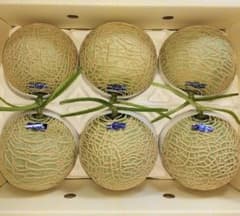 高知産 訳あり温室マスクメロン 6玉 約8，0Kg A品 北海道沖縄発送