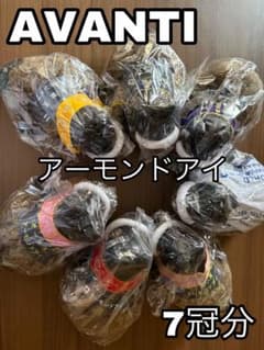 AVANTI社製　アーモンドアイ　7冠分　未開封　Sサイズ　アバンティ AVANTI社製 アーモンドアイ 7冠分 未開封 Sサイズ アバンティ - メルカリ