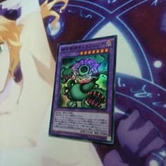 捕食植物キメラフレシアのサムネイル