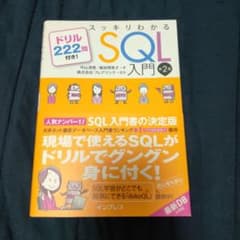 スッキリわかるSQL入門 ドリル222問付き!のサムネイル