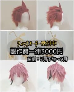コスプレ ウィッグオーダー受付中 - メルカリ