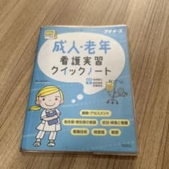 成人・老年看護実習クイックノートのサムネイル