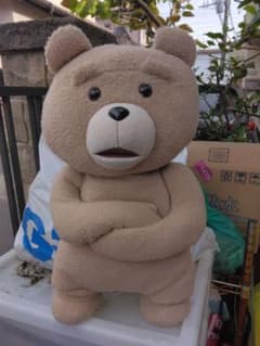 ted ぬいぐるみのサムネイル