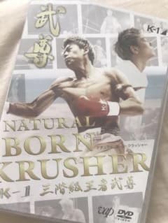 天下人様専用のサムネイル