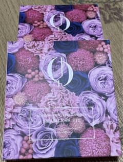芦屋美整体　骨盤プロリセットショーセット　お値下げのサムネイル