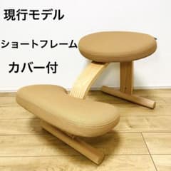 極美品】現行モデル バランスイージー 純正カバー付 ショートフレーム