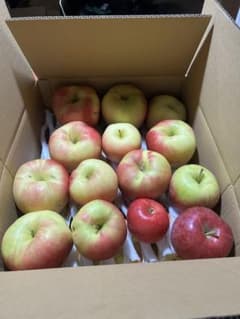 華宝　ジュース加工用 10キロのサムネイル